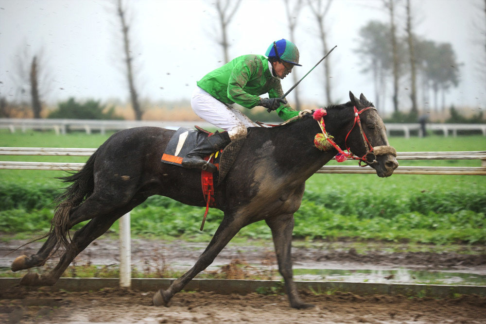 کورس سوارکاری قهرمانی زمستانه گنبدکاووس