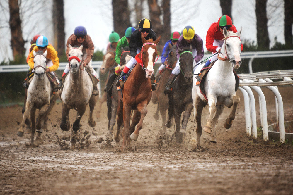 کورس سوارکاری قهرمانی زمستانه گنبدکاووس