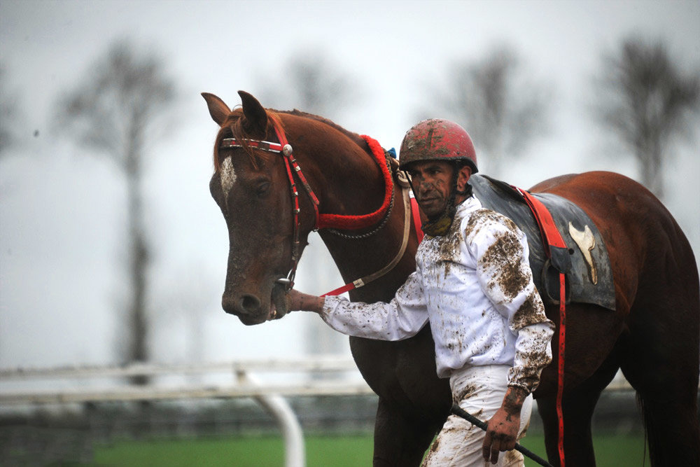 کورس سوارکاری قهرمانی زمستانه گنبدکاووس