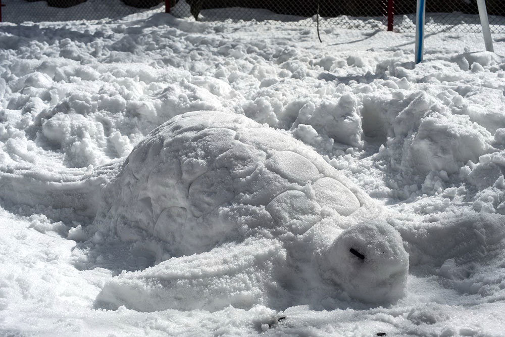 ششمین جشنواره ملی آدم برفی