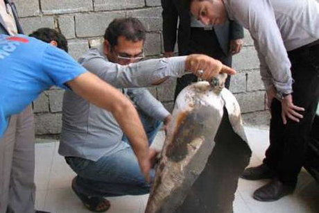 انفجار وانت‌پیکان در جایگاه CNG + تصاویر