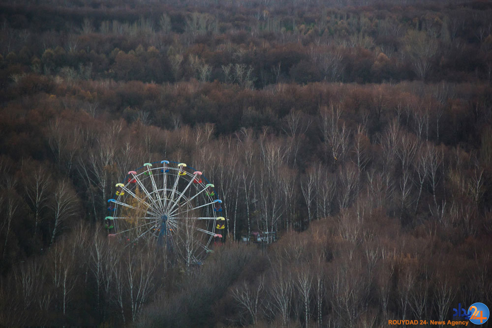 برندگان مسابقه عکاسی سونی‎