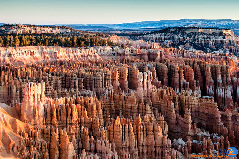 برندگان مسابقه عکاسی سونی‎