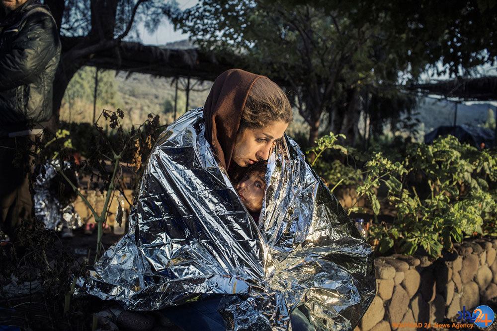 برندگان مسابقه عکاسی سونی‎