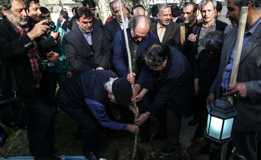 درخت کاری در خانه سینما