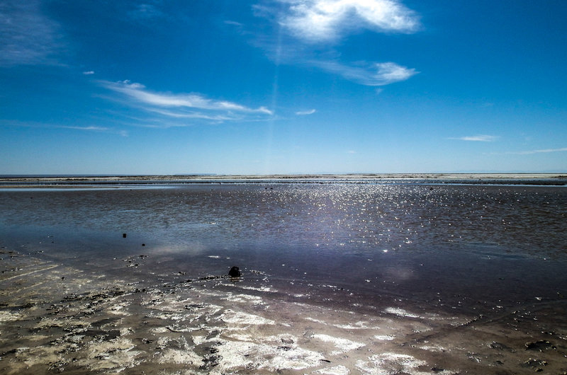 تالاب بین‌المللی گاوخونی