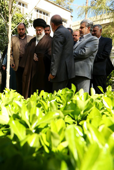 رهبر انقلاب یک اصله نهال غرس کردند