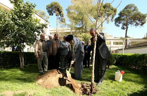 رهبر انقلاب یک اصله نهال غرس کردند
