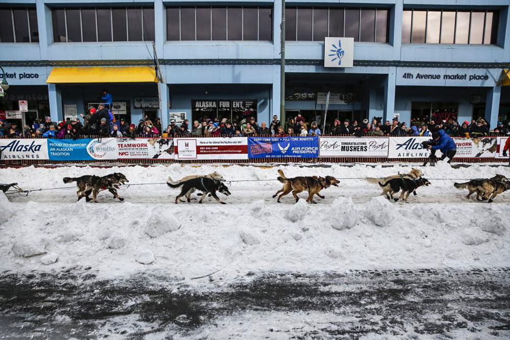 رقابت سگ های سورتمه در آلاسکا‎