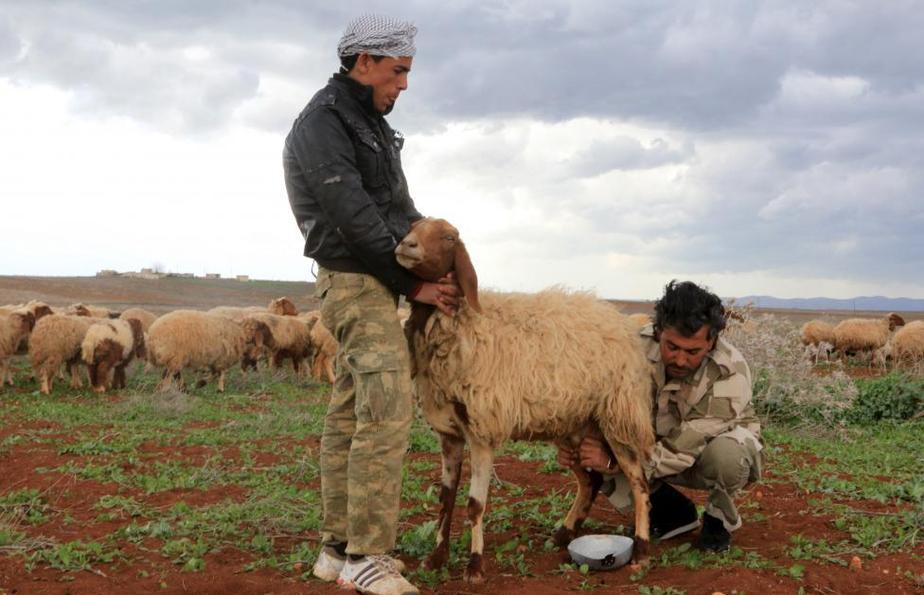 بی کاری در جبهه سوریه (تصاویر)