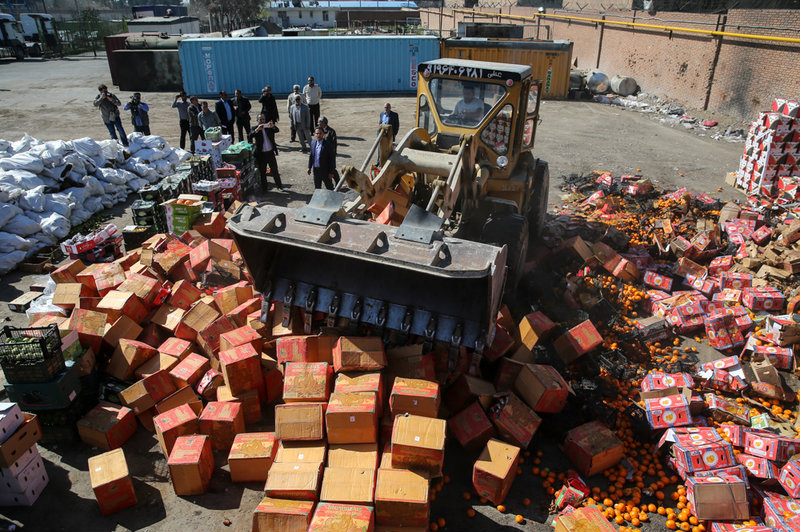 امحاء میوه‌های قاچاق