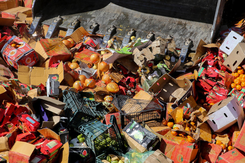 امحاء میوه‌های قاچاق