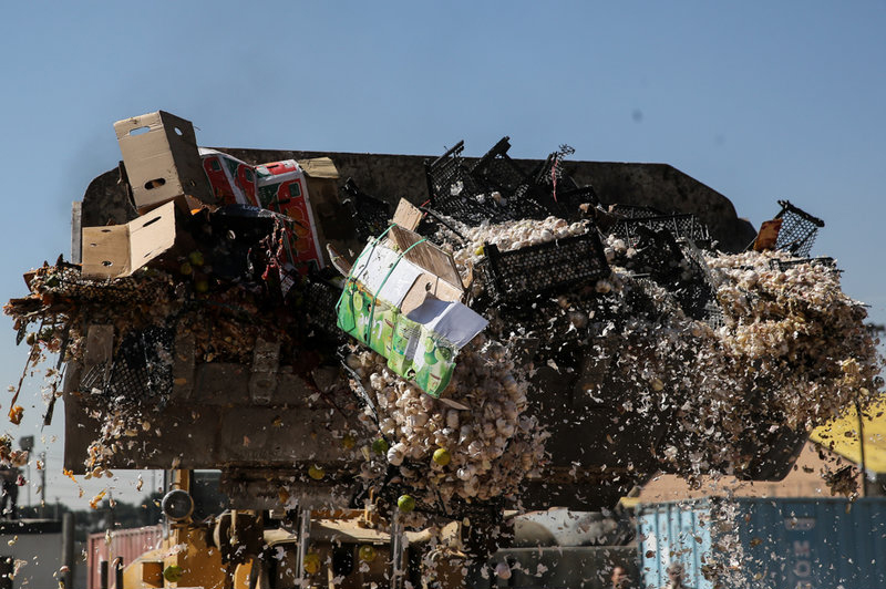 امحاء میوه‌های قاچاق