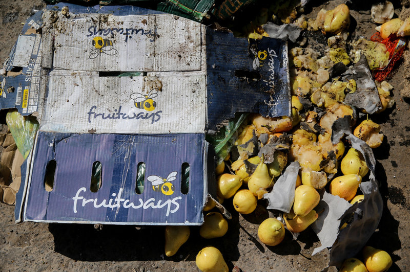 امحاء میوه‌های قاچاق