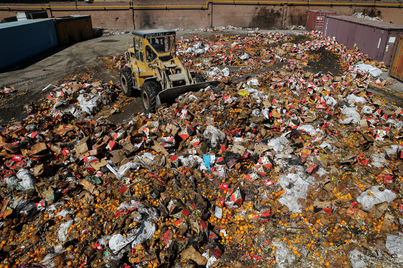 امحاء میوه‌های قاچاق