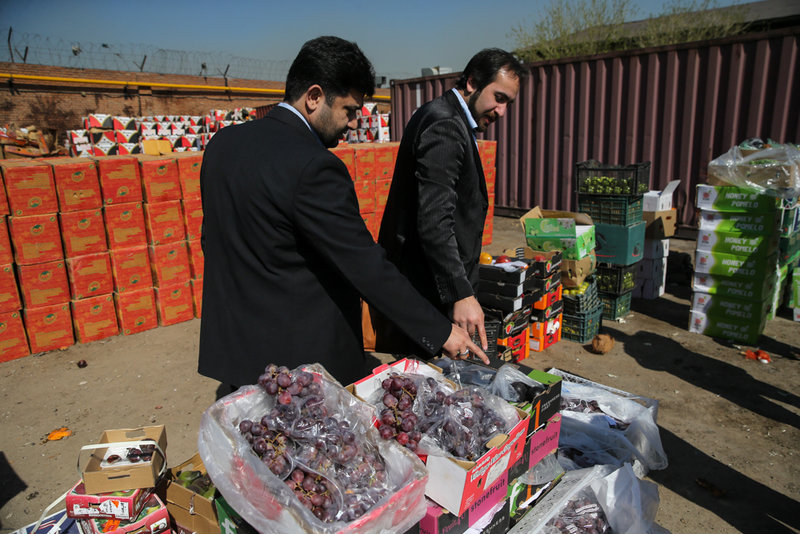 امحاء میوه‌های قاچاق