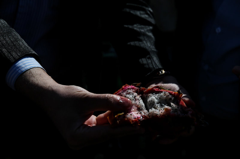 امحاء میوه‌های قاچاق