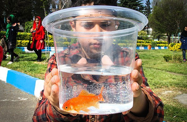 بازارهای محلی استان مازندران در آستانه نوروز