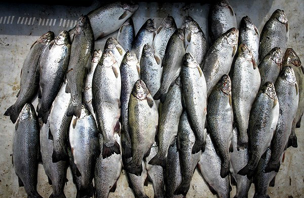 بازارهای محلی استان مازندران در آستانه نوروز