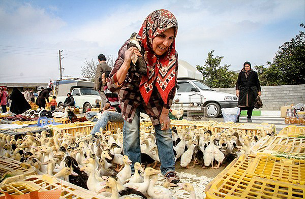 بازارهای محلی استان مازندران در آستانه نوروز