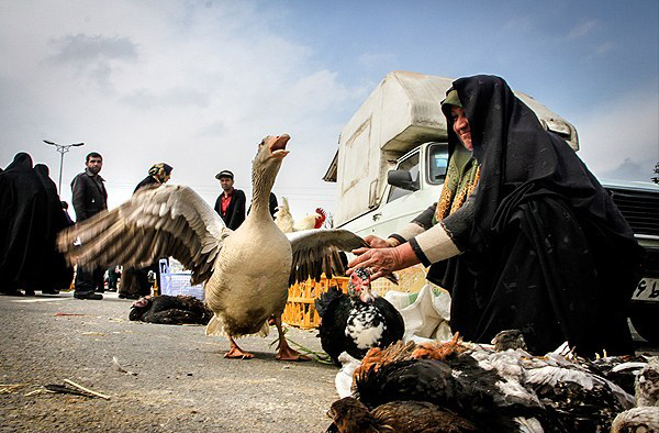 بازارهای محلی استان مازندران در آستانه نوروز