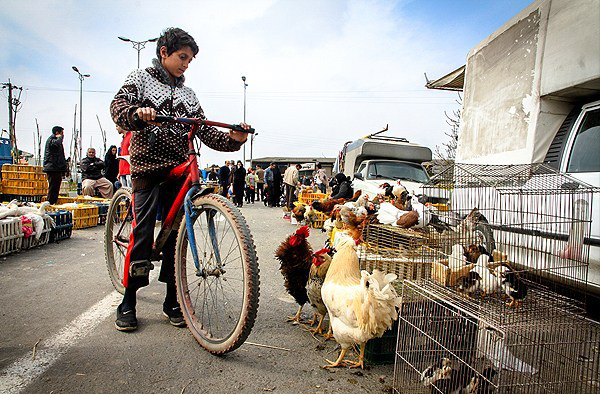 بازارهای محلی استان مازندران در آستانه نوروز