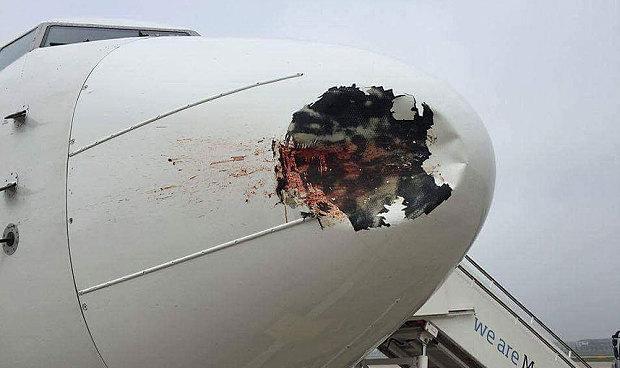 برخورد پرنده با هواپیما چه کرد؟ برخورد پرنده با هواپیما چه کرد؟