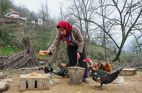 آئین سنتی خانه تکانی روستای گاوزن محله