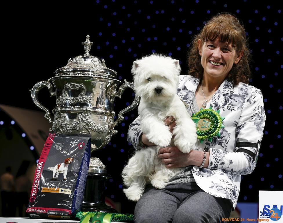 مسابقه بهترین سگ بریتانیا