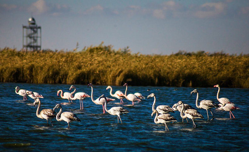 تالاب میقان - اراک تالاب میقان - اراک