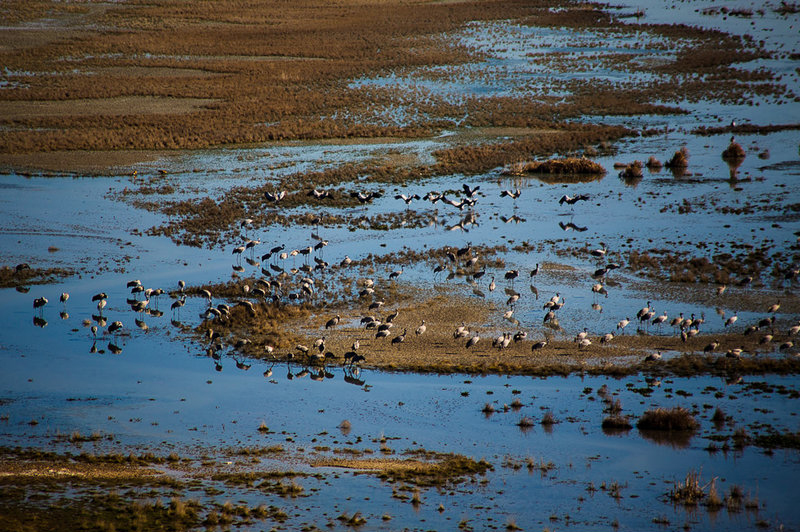 تالاب میقان - اراک تالاب میقان - اراک
