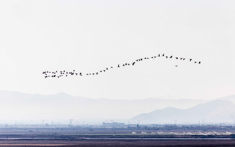 تالاب میقان - اراک تالاب میقان - اراک