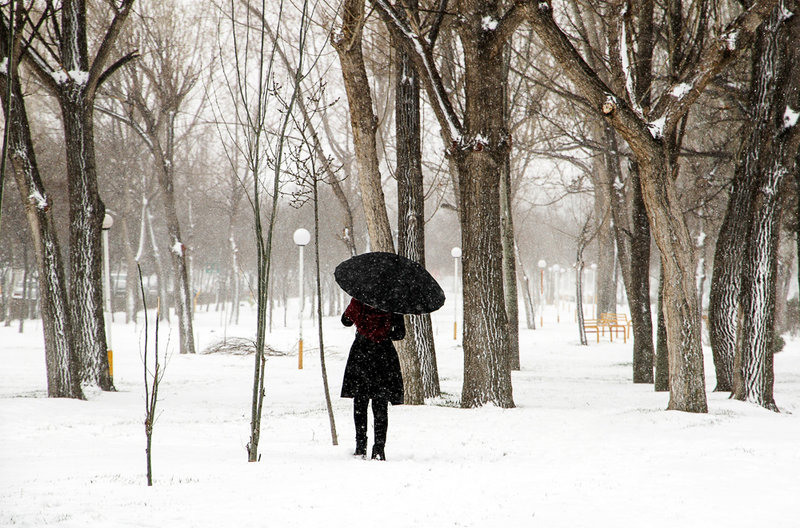 آیین سنتی نواوستی - اردبیل آیین سنتی نواوستی - اردبیل