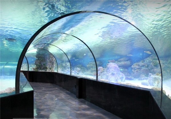نخستین تونل آکواریوم کشور در اصفهان(تصاویر) نخستین تونل آکواریوم کشور در اصفهان(تصاویر)