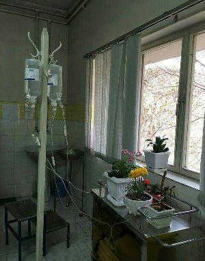 ابتکاری جالب برای آبرسانی به گل ها در تعطیلات (تصویر)