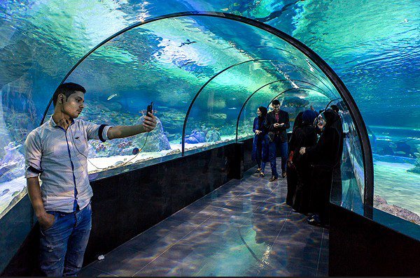نخستین تونل آکواریوم کشور در اصفهان نخستین تونل آکواریوم کشور در اصفهان