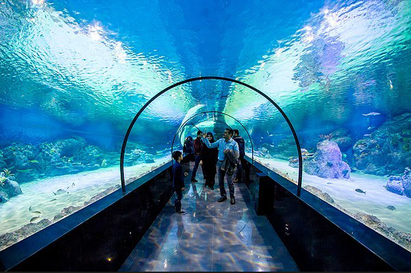 نخستین تونل آکواریوم کشور در اصفهان نخستین تونل آکواریوم کشور در اصفهان