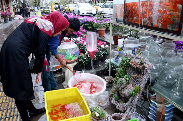 تهران در آستانه سال نو تهران در آستانه سال نو
