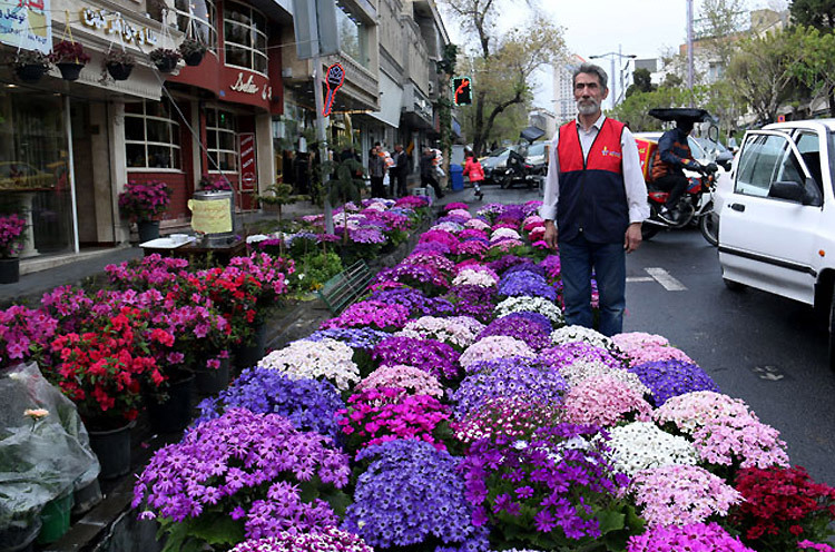 تهران در آستانه سال نو تهران در آستانه سال نو