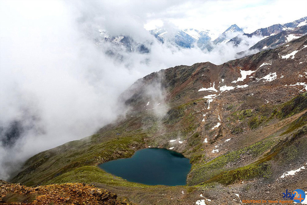 قلب های طبیعی