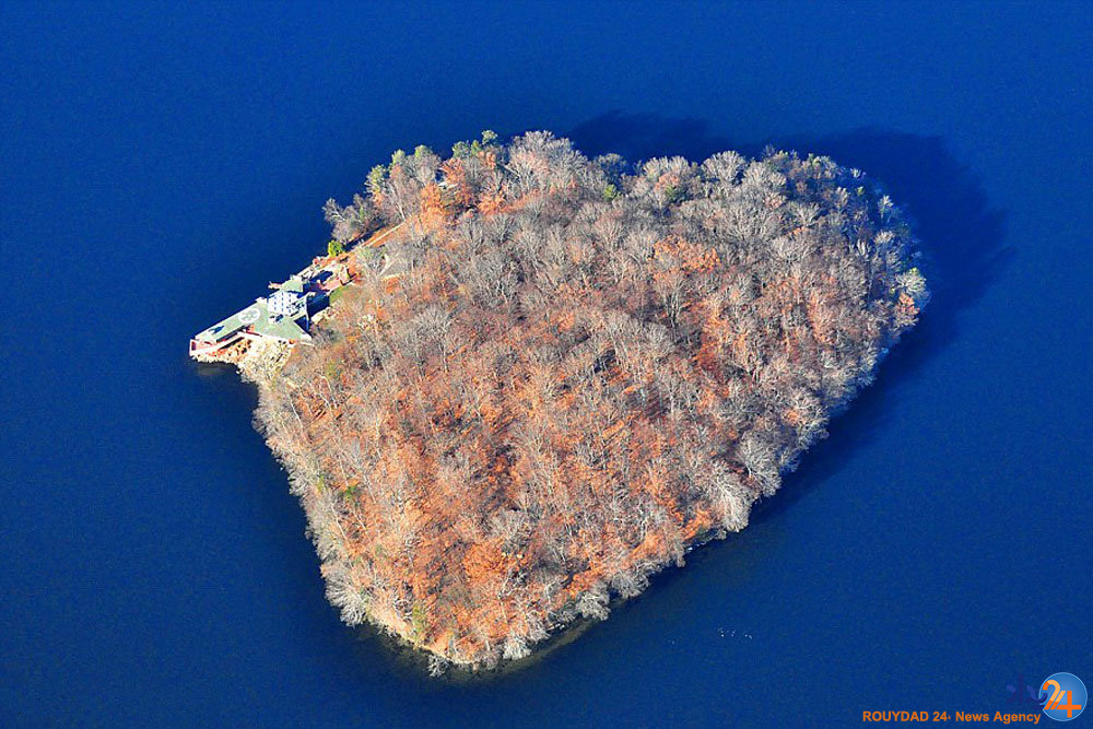 قلب های طبیعی