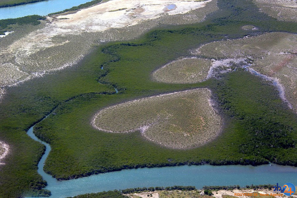 قلب های طبیعی