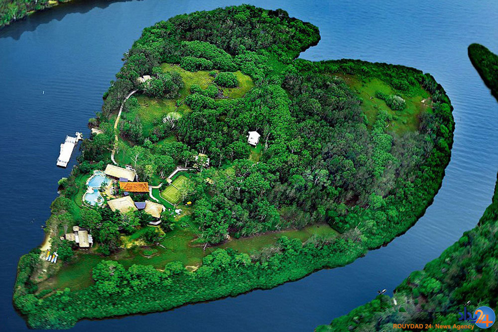 قلب های طبیعی