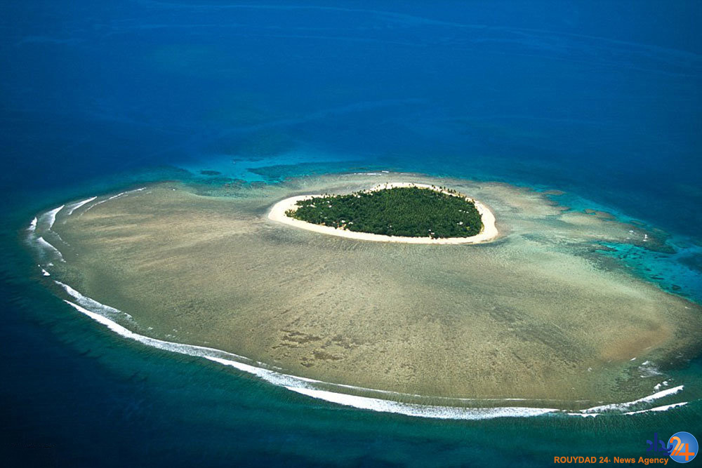 قلب های طبیعی