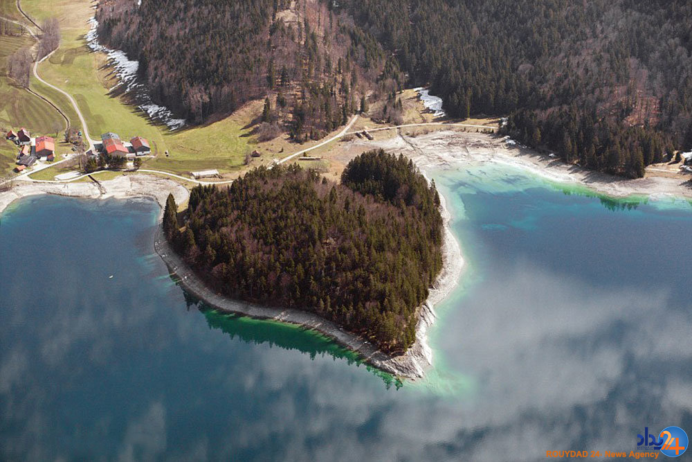 قلب های طبیعی