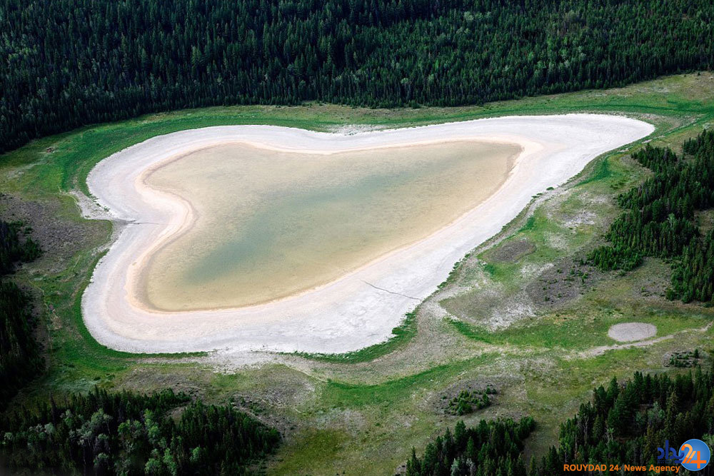 قلب های طبیعی