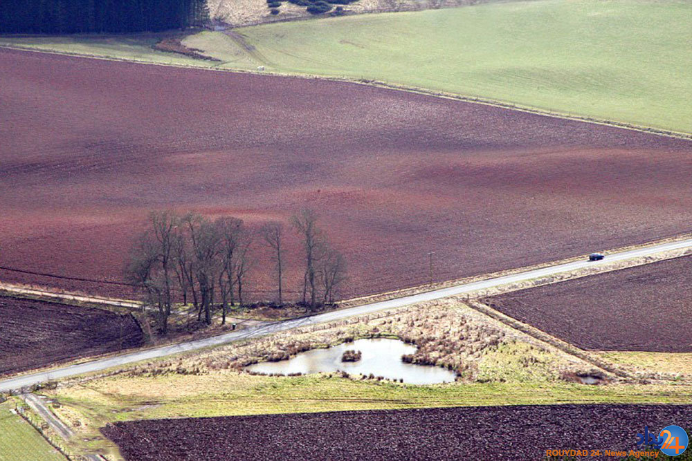 قلب های طبیعی