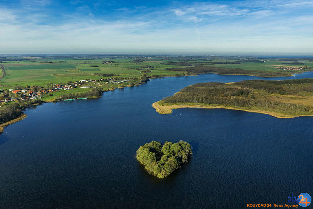 قلب های طبیعی