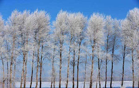 برگزیده ترین تصاویر خبری جهان / 4 اسفند برگزیده ترین تصاویر خبری جهان / 4 اسفند