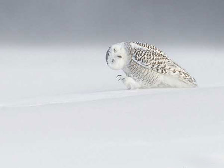 برگزیده ترین تصاویر خبری جهان / 5 اسفند برگزیده ترین تصاویر خبری جهان / 5 اسفند